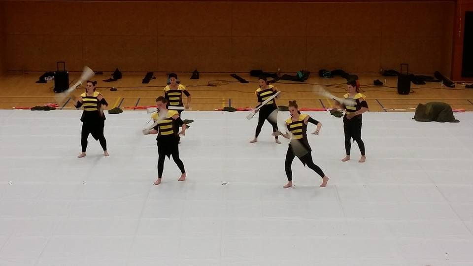 Geslaagde en druk bezochte try out vanmiddag in het Palet (foto 3 van 8)