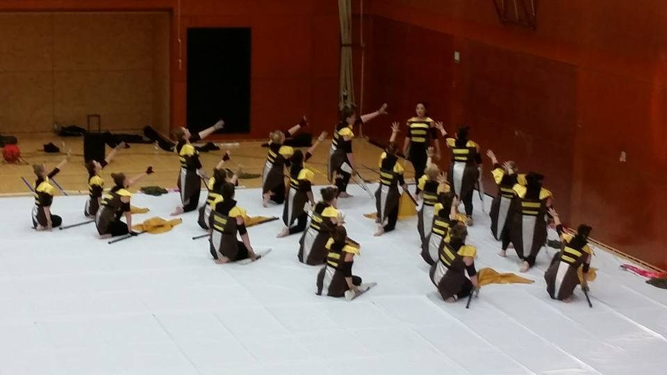 Geslaagde en druk bezochte try out vanmiddag in het Palet (foto 6 van 8)